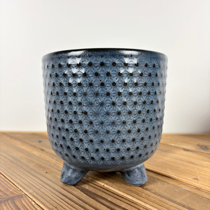 Blue Footed Pot - 3 Sizes