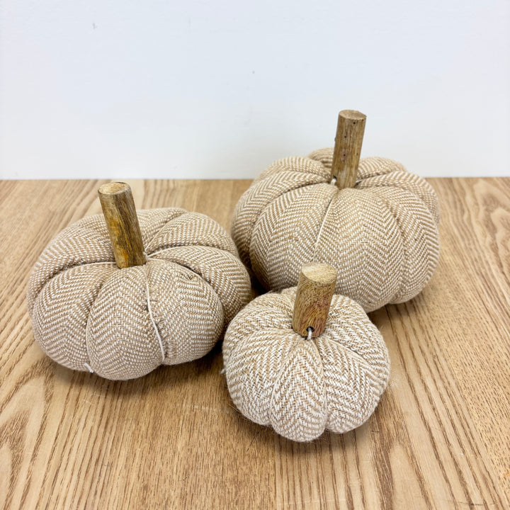 Beige Pumpkin - 3 Sizes