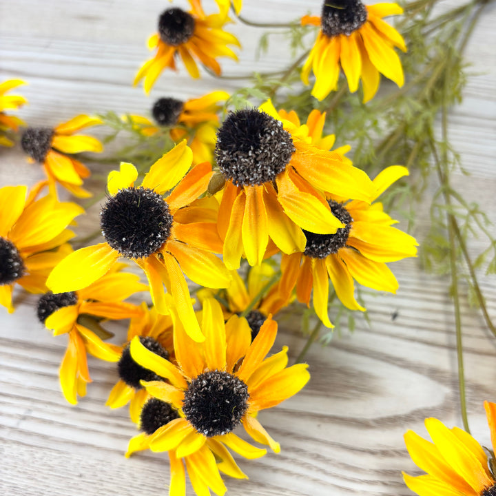 Black-Eyed Susan Spray