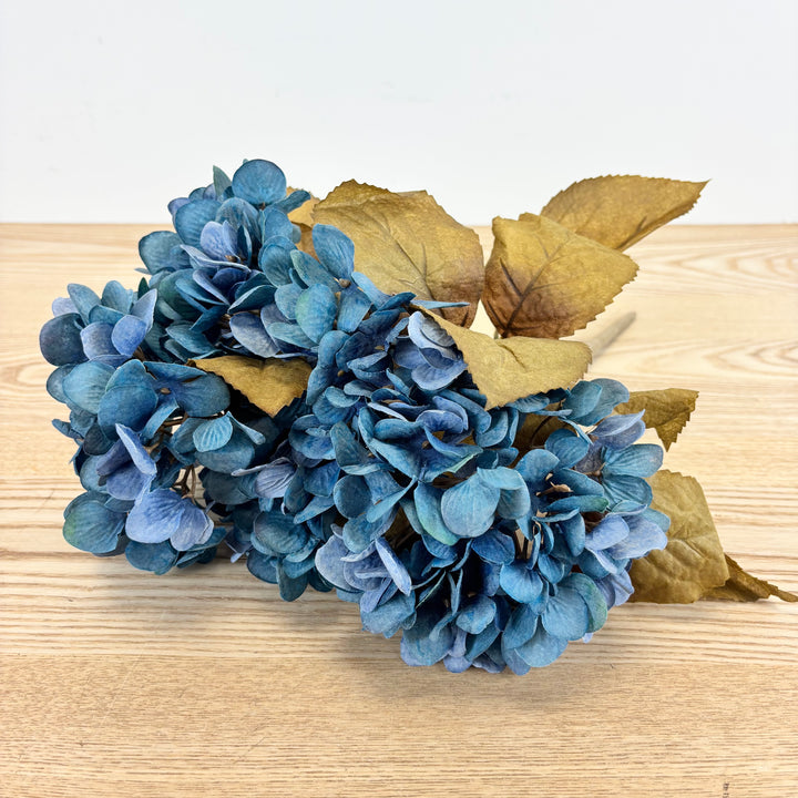 Autumn Hydrangea Bush