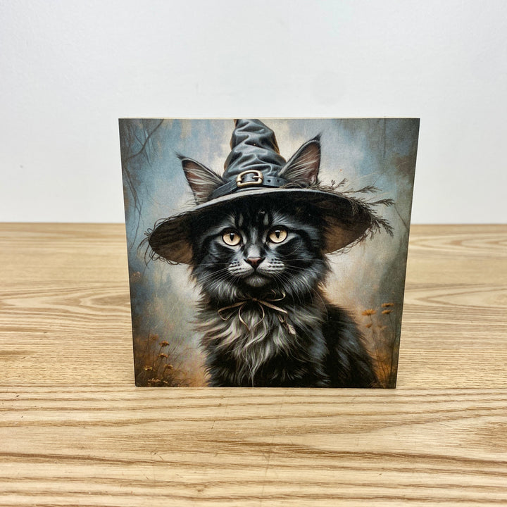 Cat wearing a witch hat on a wooden surface