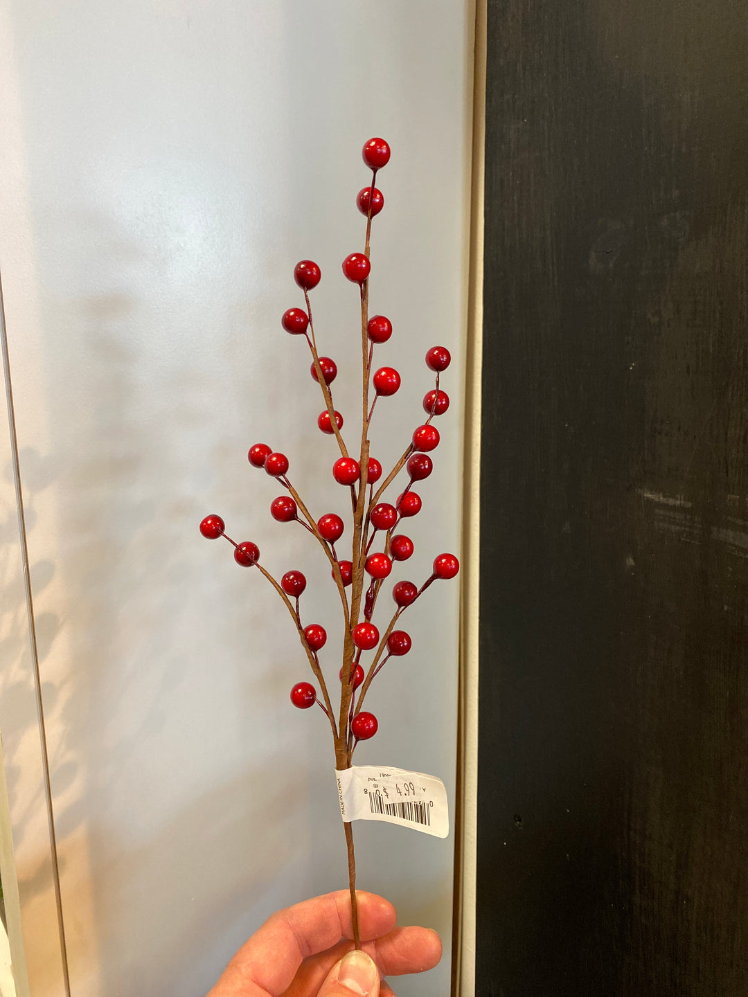 Red Berry Branch
