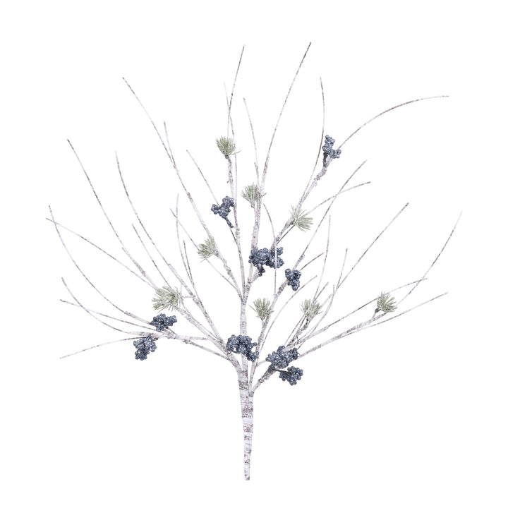 Birch & Pine Collection