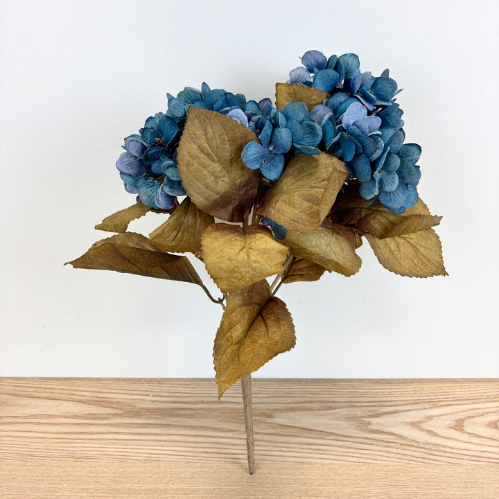 Autumn Hydrangea Bush