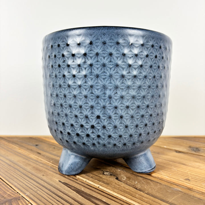 Blue Footed Pot - 3 Sizes