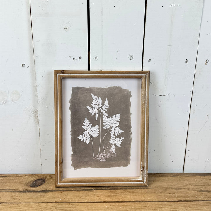 Set of 4 Fern Prints