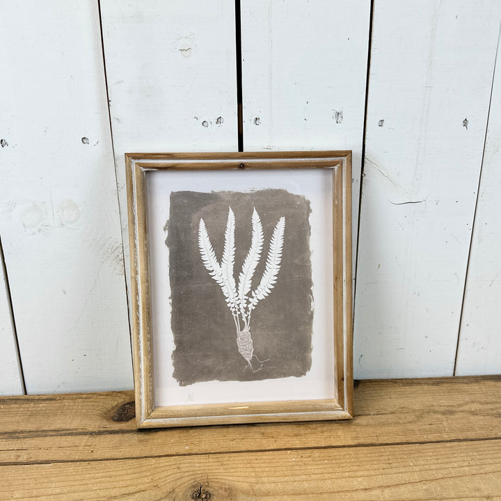 Set of 4 Fern Prints