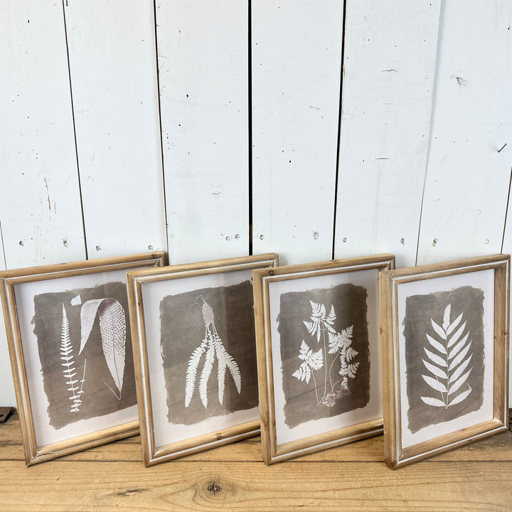 Set of 4 Fern Prints