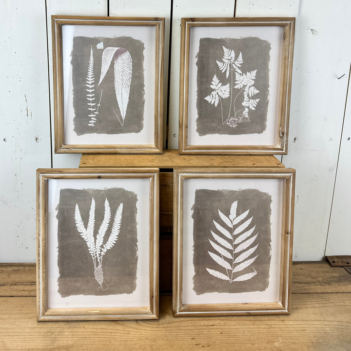 Set of 4 Fern Prints