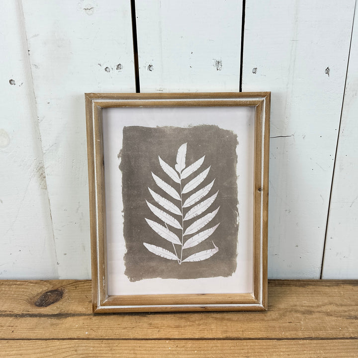 Set of 4 Fern Prints