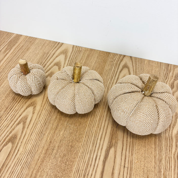 Beige Pumpkin - 3 Sizes