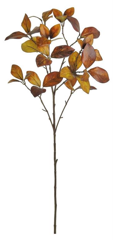 Brown Enkianthus Foliage Spray