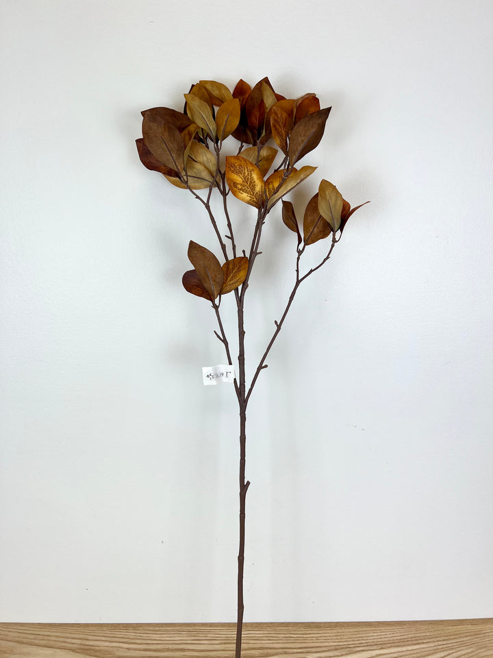 Brown Enkianthus Foliage Spray