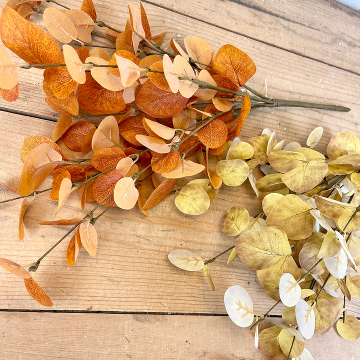 Autumn Eucalyptus Bush