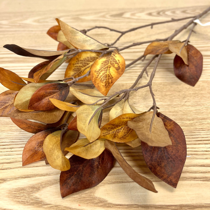 Brown Enkianthus Foliage Spray