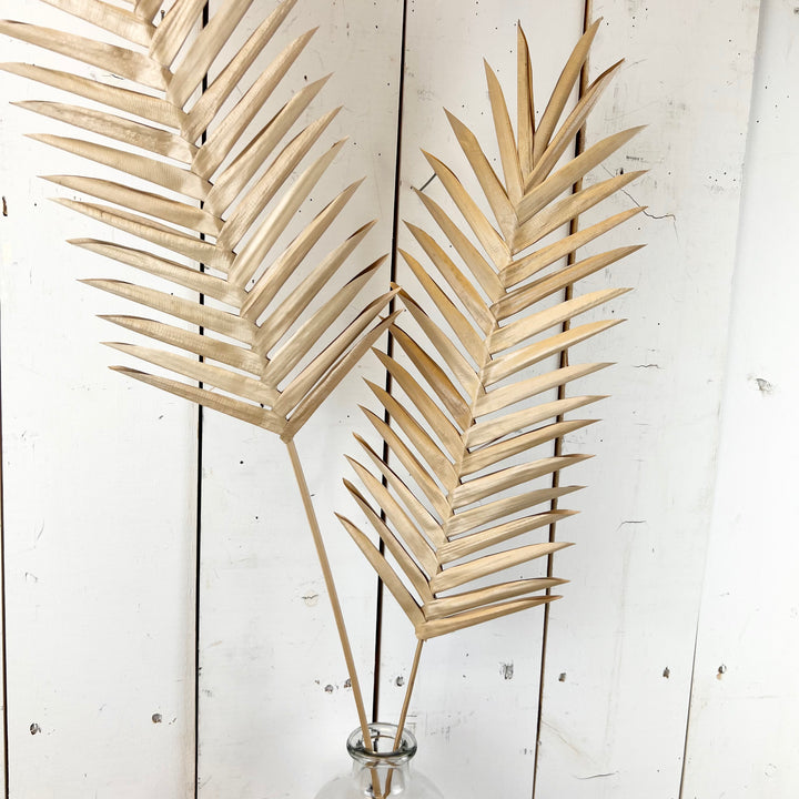 Faux Dried Palm Stem