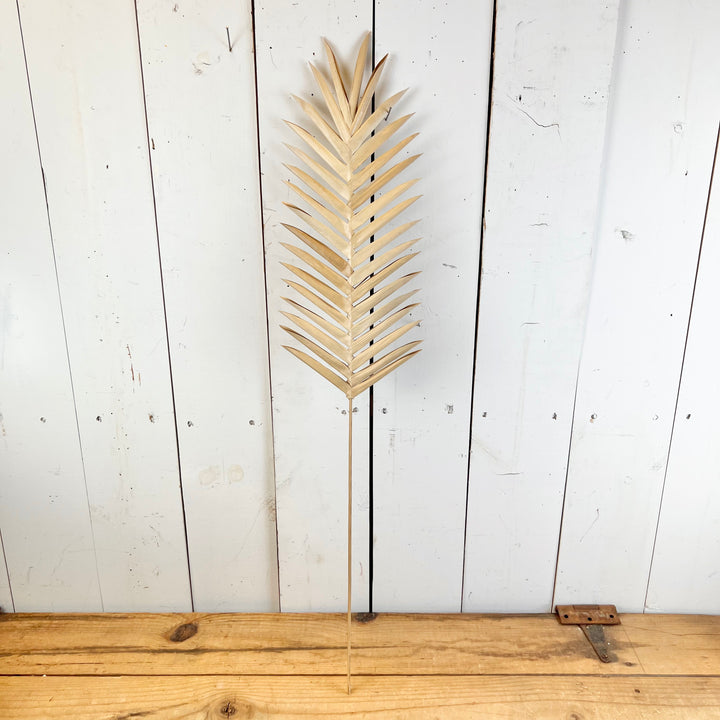 Faux Dried Palm Stem