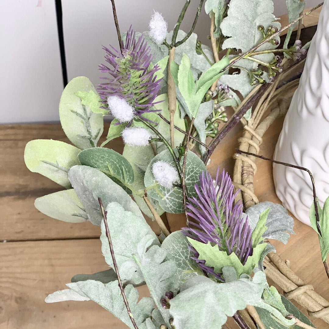 Lambs Ear Thistle Collection