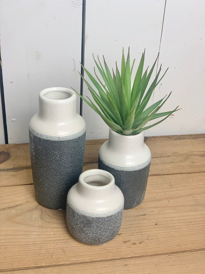 Marginata Succulent Stem