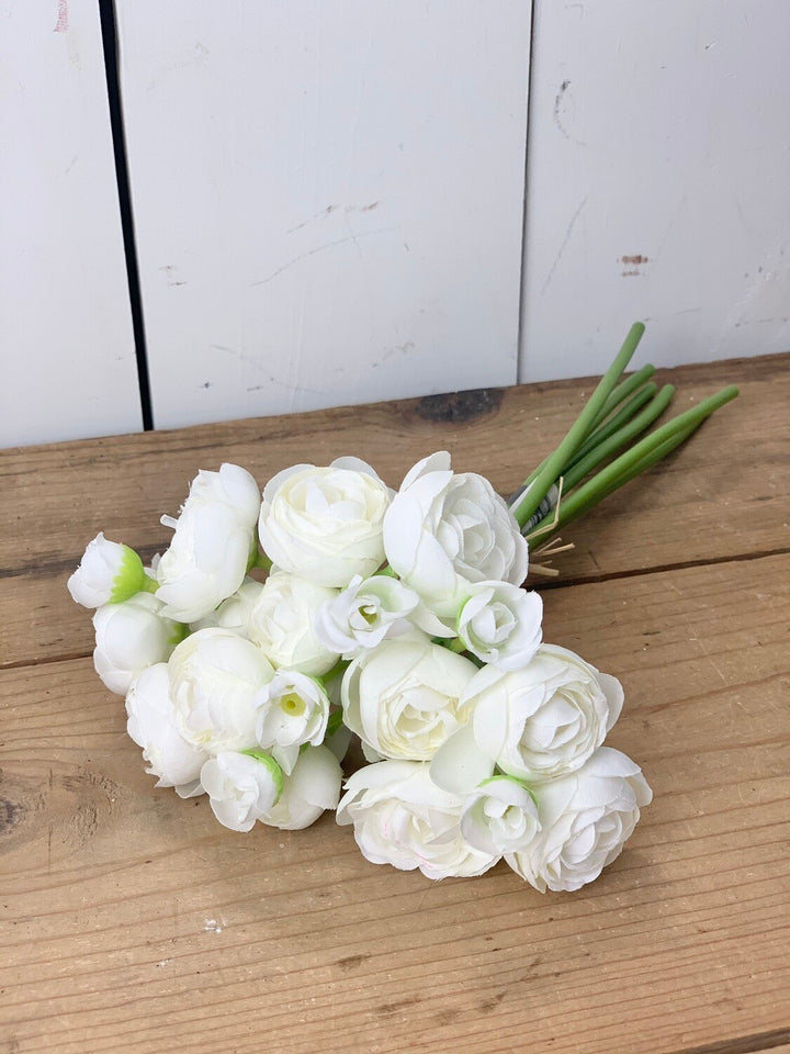 Ranunculus Stems