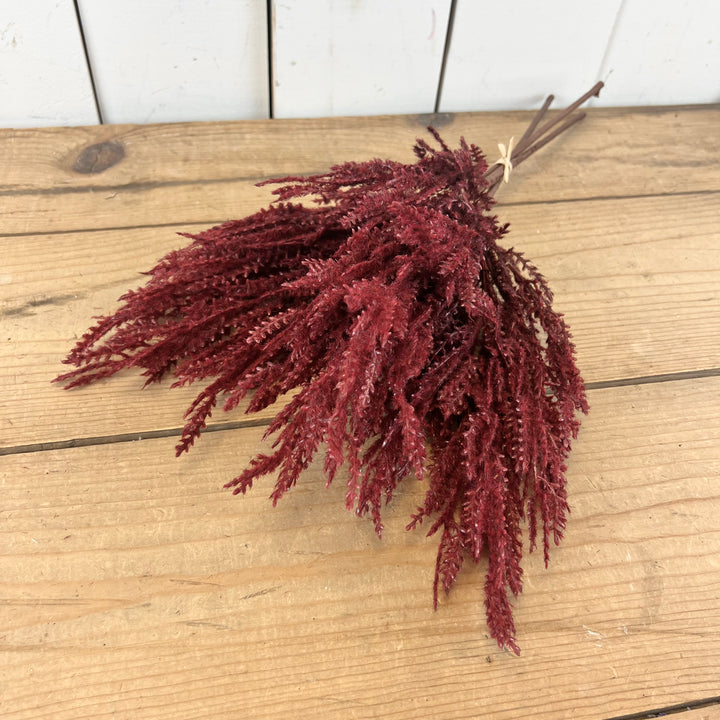 Burgundy Pampas Bundle