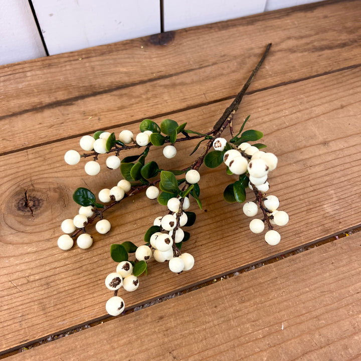 Cream Berry Stem with Leaves