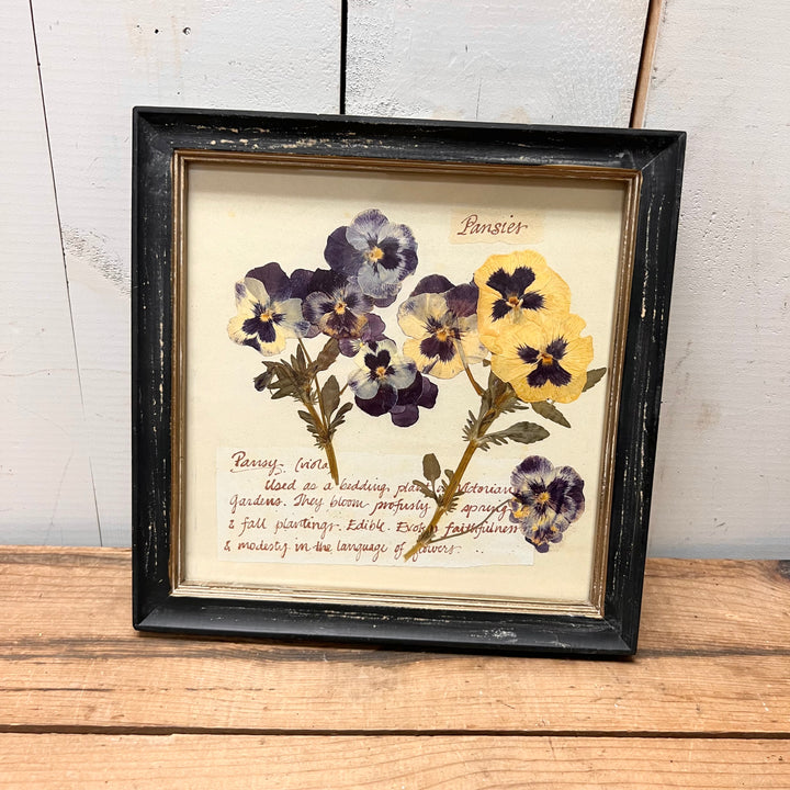 Blacked Framed Floral Prints