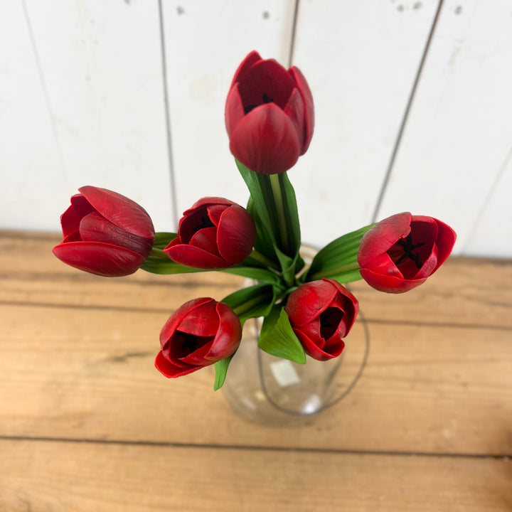 6 Stem Jumbo Tulip Bouquet