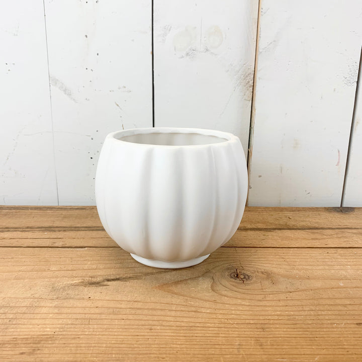Matte White Ribbed Vases