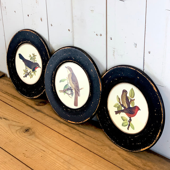 Round Bird Prints - Set of 3