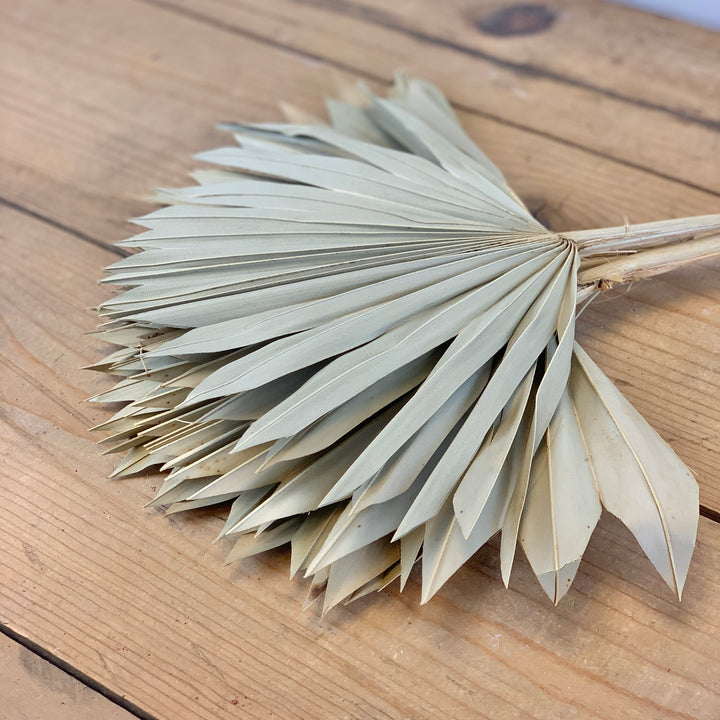 Faux Dried Palm Bundle