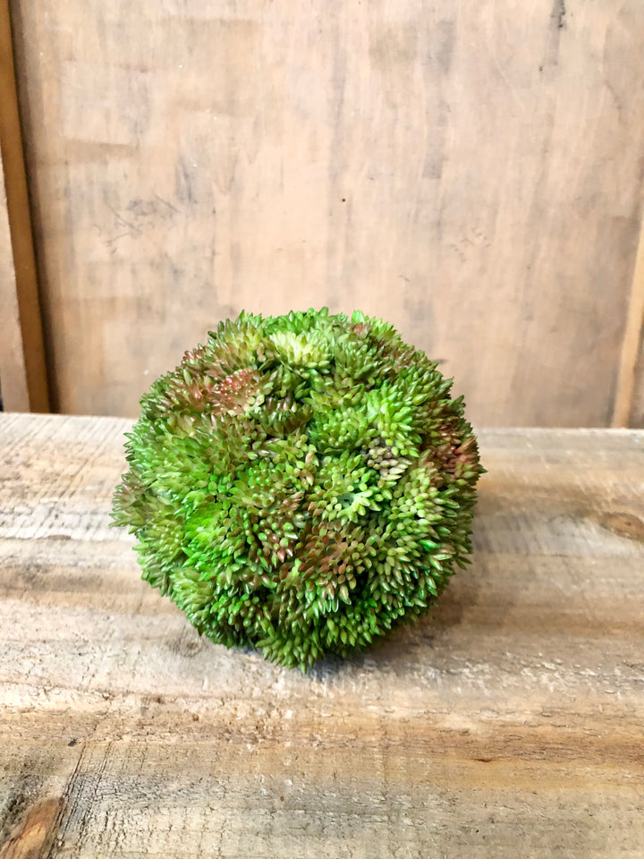 Succulent Orb