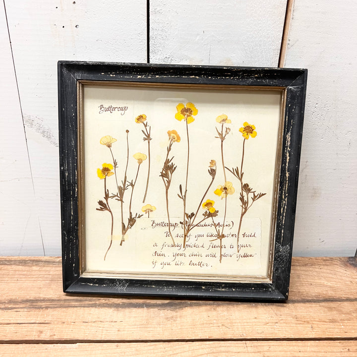 Blacked Framed Floral Prints