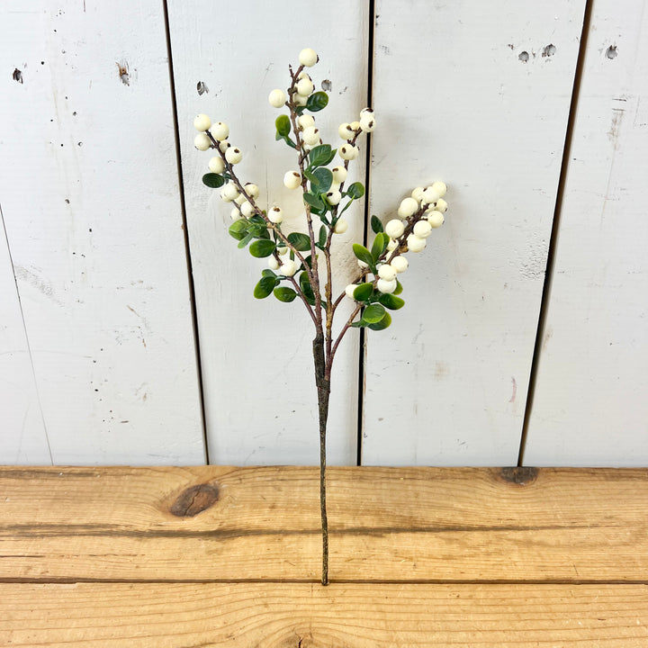 Cream Berry Stem with Leaves