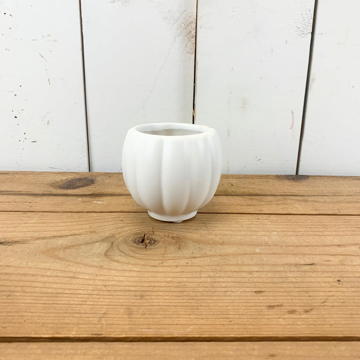 Matte White Ribbed Vases