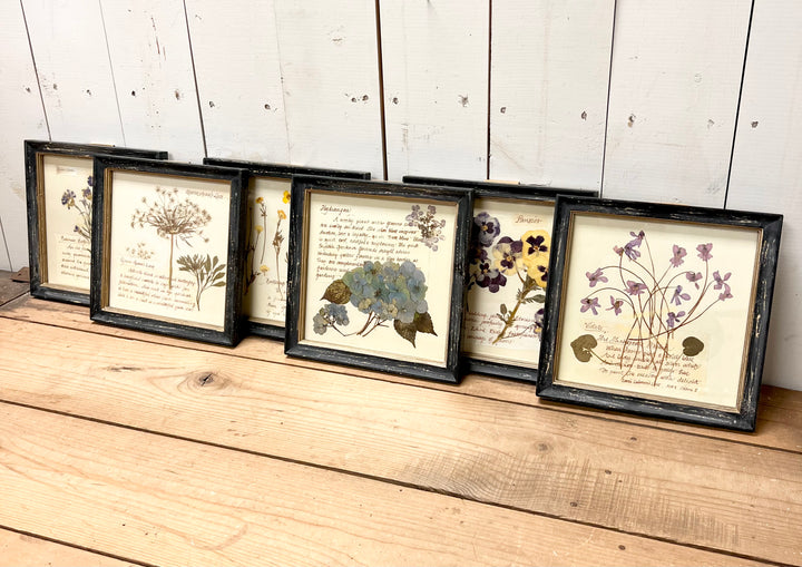 Blacked Framed Floral Prints
