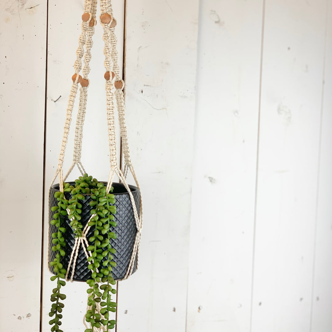 Ivory Plant Hanger with Terracotta Beads