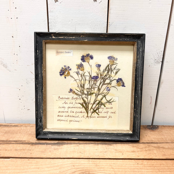 Blacked Framed Floral Prints