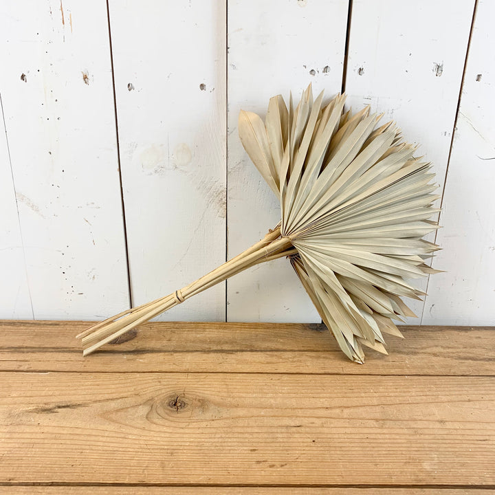 Faux Dried Palm Bundle