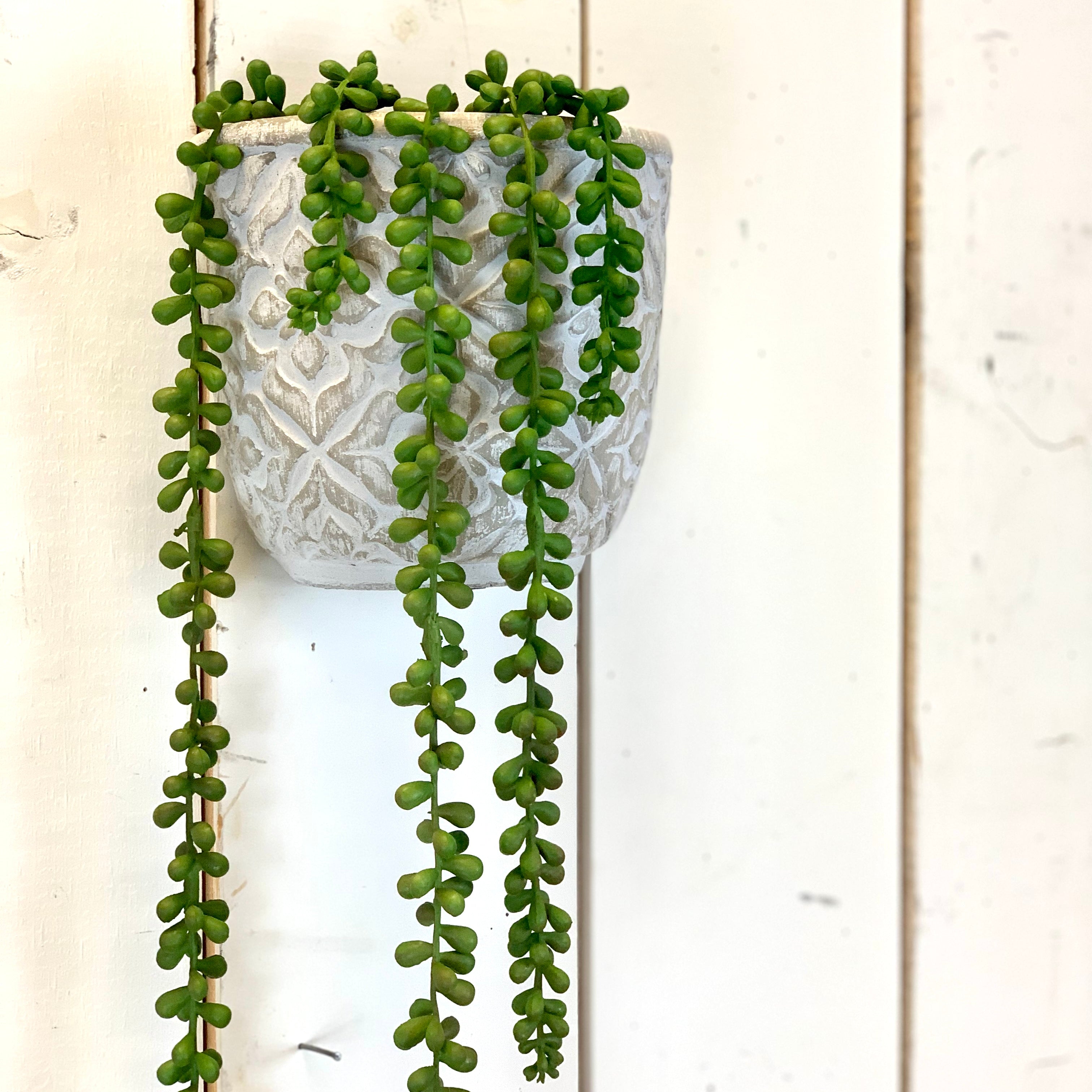 trailing faux succulent Long Hanging Succulent – Prairie in Bloom