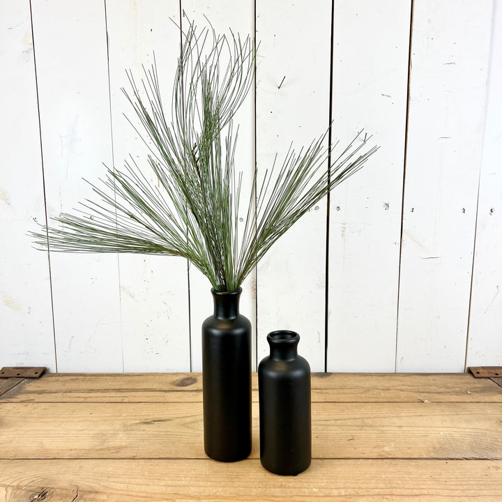 Long Needle Pine Stem