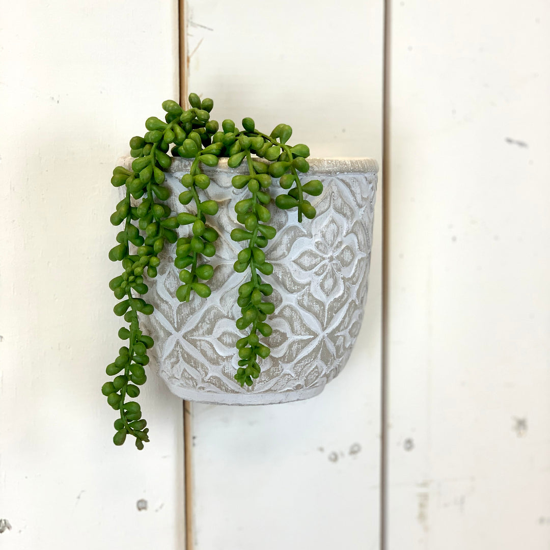 Small Hanging Succulent