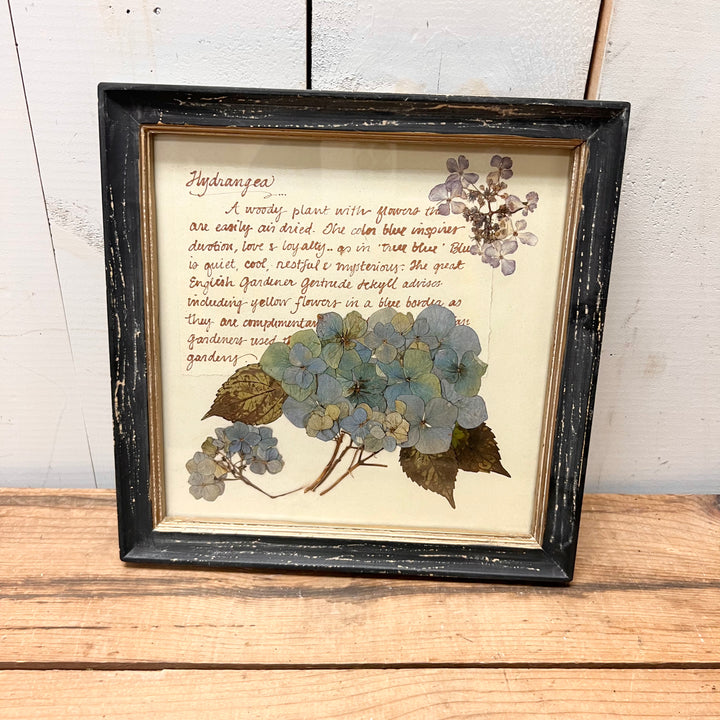 Blacked Framed Floral Prints