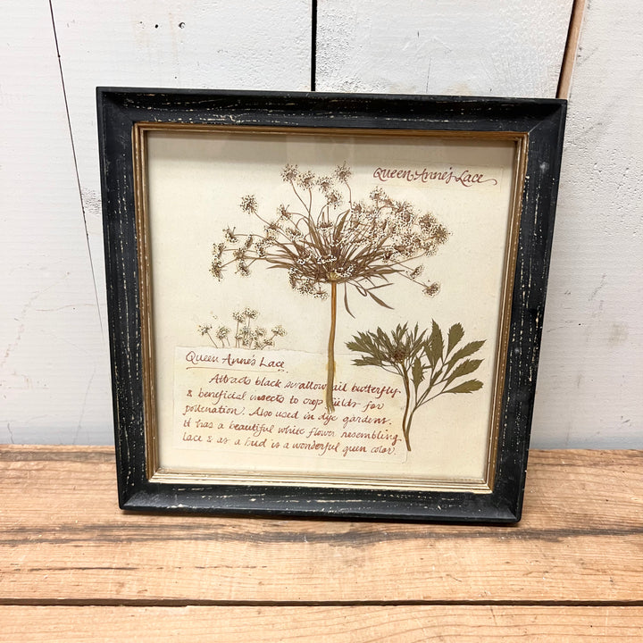 Blacked Framed Floral Prints