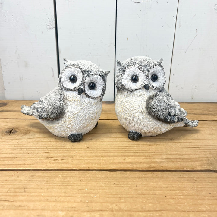 Snowy Resin Owls - Set of 2