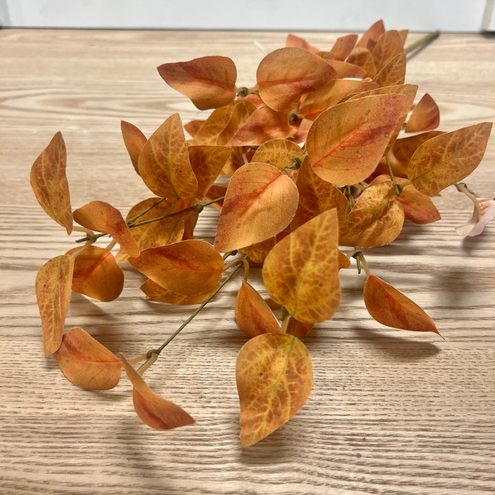 Fall Eucalyptus Stems