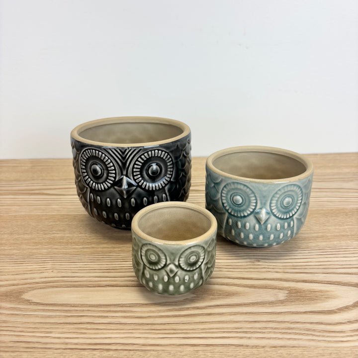 Owl Pots