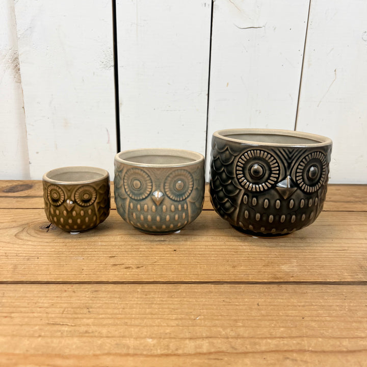 Owl Pots