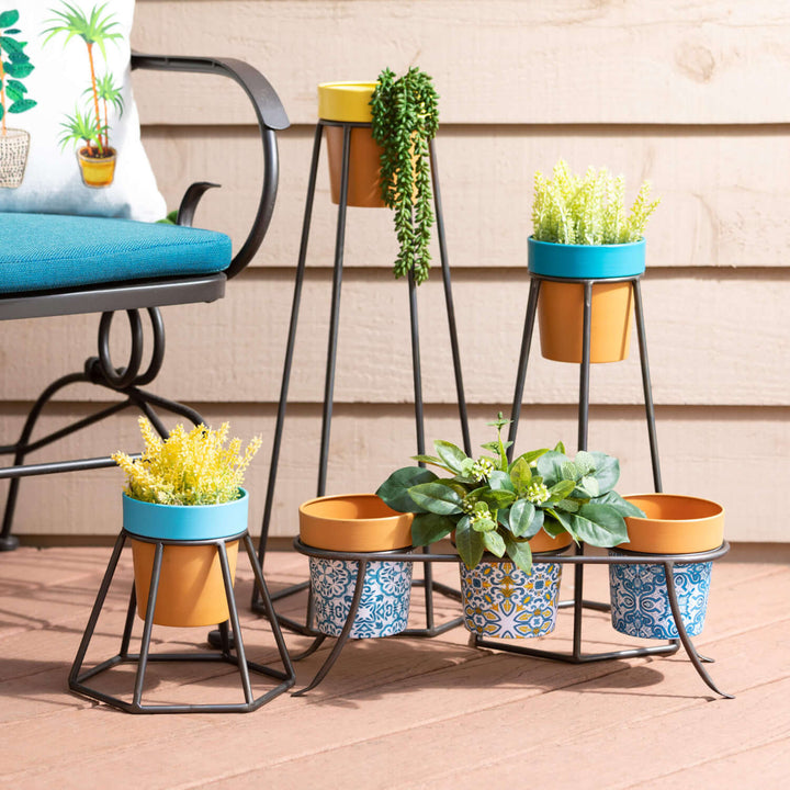 Hanging Succulent Vine