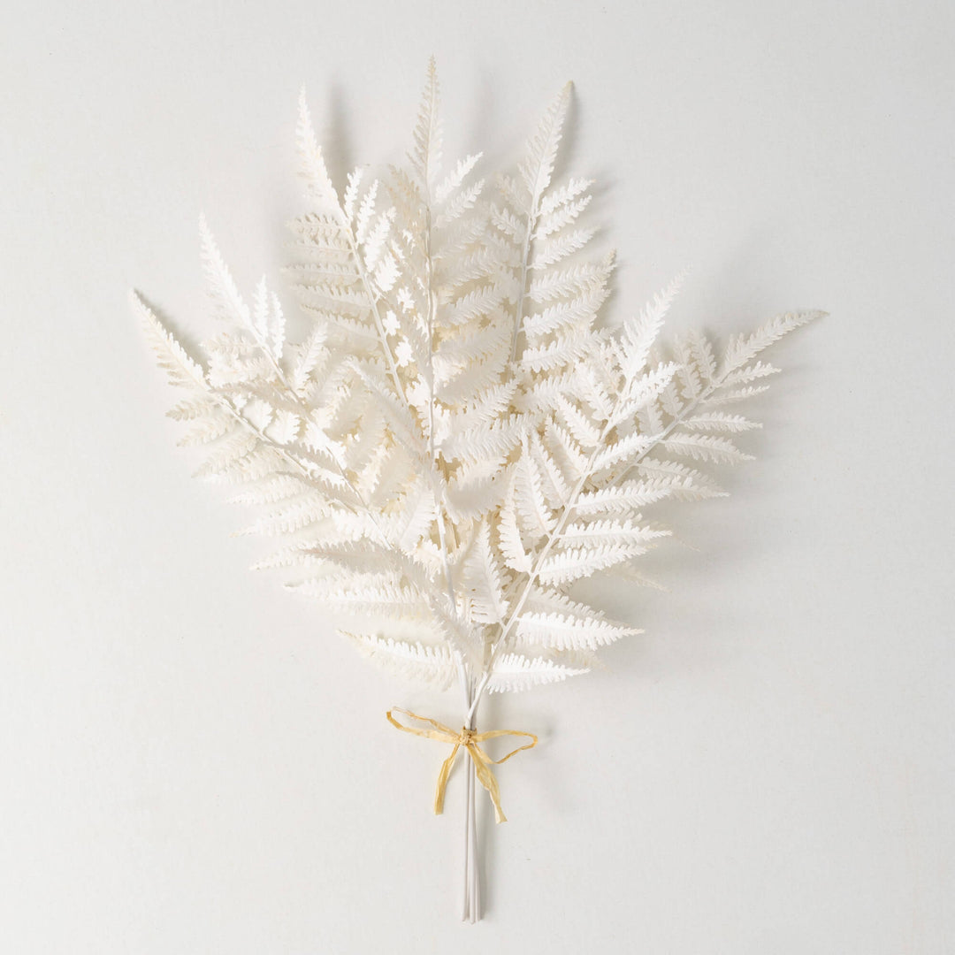 Creamy Boston Fern Bush